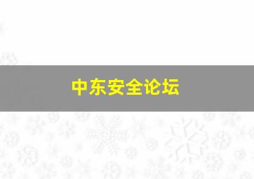 中东安全论坛