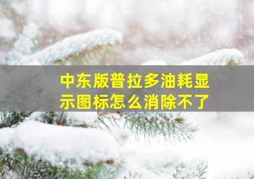 中东版普拉多油耗显示图标怎么消除不了