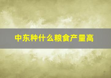 中东种什么粮食产量高