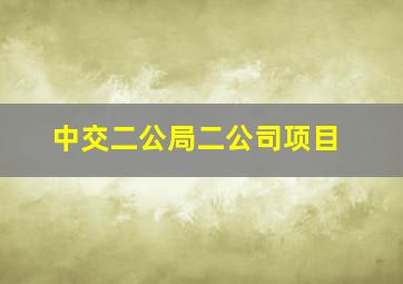 中交二公局二公司项目