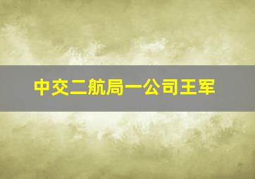 中交二航局一公司王军