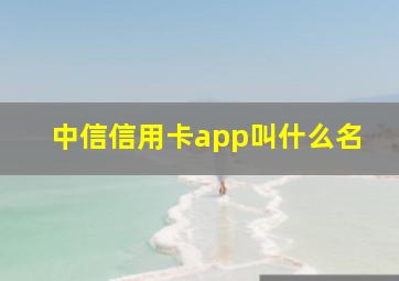 中信信用卡app叫什么名