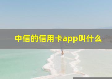 中信的信用卡app叫什么