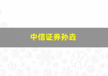 中信证券孙垚