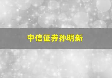 中信证券孙明新