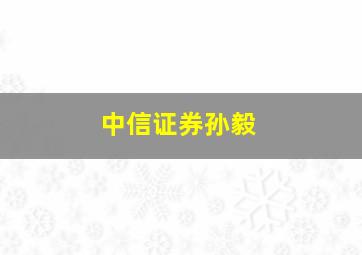 中信证券孙毅