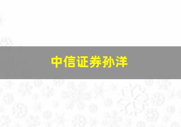 中信证券孙洋