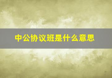 中公协议班是什么意思