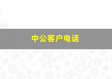 中公客户电话