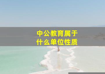 中公教育属于什么单位性质