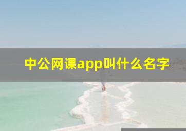 中公网课app叫什么名字