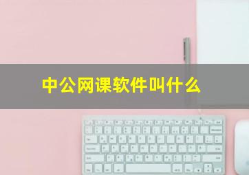 中公网课软件叫什么