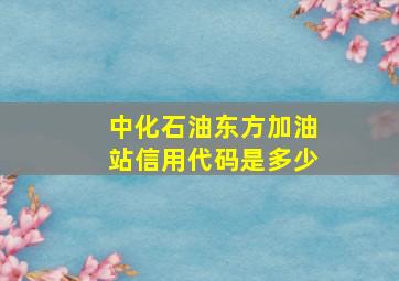 中化石油东方加油站信用代码是多少