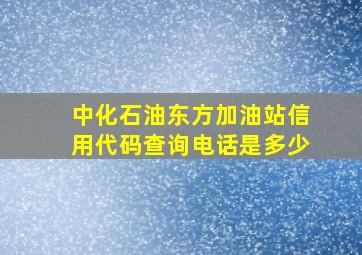 中化石油东方加油站信用代码查询电话是多少