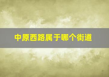 中原西路属于哪个街道