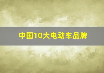 中国10大电动车品牌