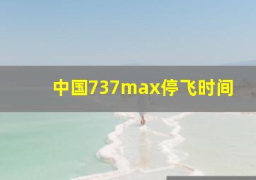 中国737max停飞时间