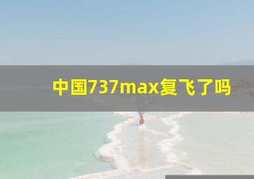 中国737max复飞了吗