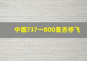 中国737一800是否停飞