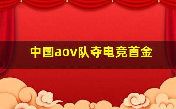 中国aov队夺电竞首金