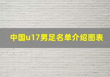 中国u17男足名单介绍图表