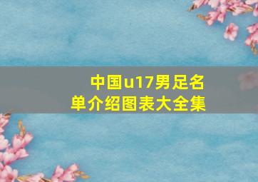 中国u17男足名单介绍图表大全集