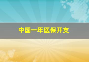 中国一年医保开支