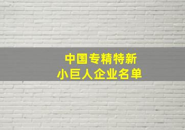 中国专精特新小巨人企业名单