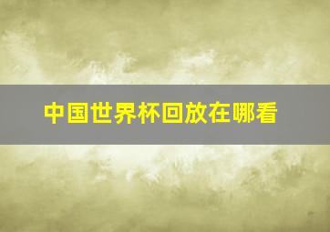 中国世界杯回放在哪看