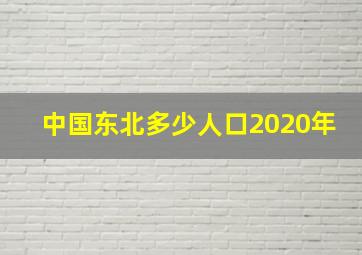 中国东北多少人口2020年