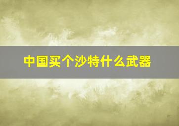 中国买个沙特什么武器