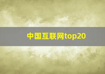 中国互联网top20