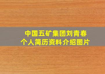 中国五矿集团刘青春个人简历资料介绍图片