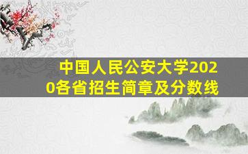 中国人民公安大学2020各省招生简章及分数线