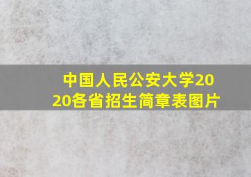 中国人民公安大学2020各省招生简章表图片