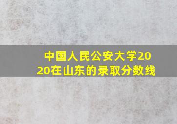 中国人民公安大学2020在山东的录取分数线