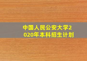 中国人民公安大学2020年本科招生计划