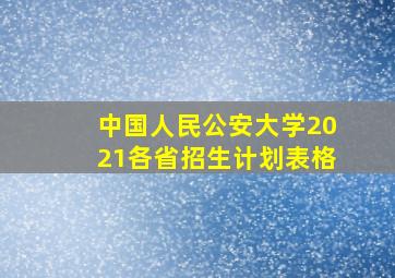 中国人民公安大学2021各省招生计划表格