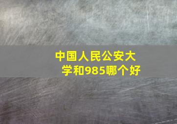 中国人民公安大学和985哪个好