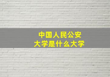 中国人民公安大学是什么大学