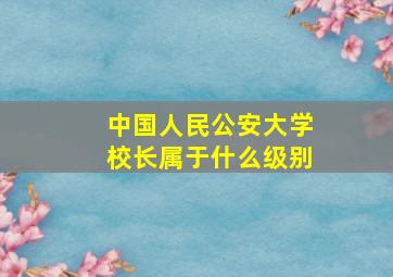 中国人民公安大学校长属于什么级别