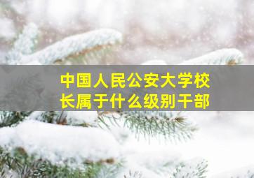 中国人民公安大学校长属于什么级别干部