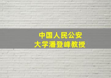 中国人民公安大学潘登峰教授