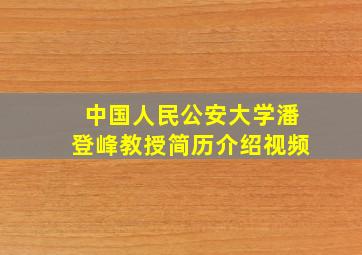 中国人民公安大学潘登峰教授简历介绍视频