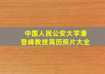 中国人民公安大学潘登峰教授简历照片大全