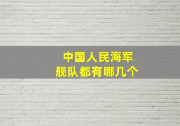 中国人民海军舰队都有哪几个