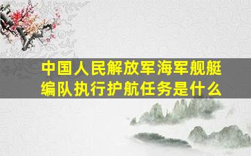 中国人民解放军海军舰艇编队执行护航任务是什么