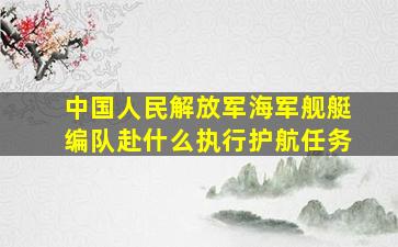 中国人民解放军海军舰艇编队赴什么执行护航任务