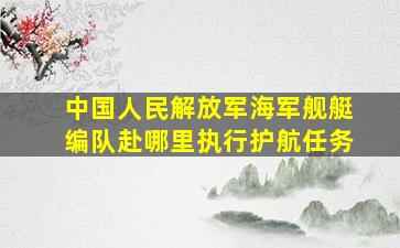 中国人民解放军海军舰艇编队赴哪里执行护航任务