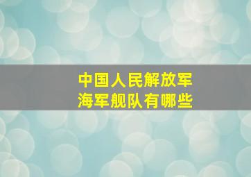 中国人民解放军海军舰队有哪些